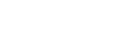 lanefin.com - logo